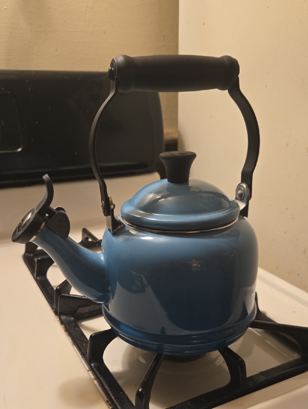 Le Creuset Carribean Blue Teakettle with Black Handle and Knob